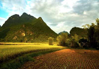 Cao Chương