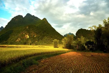 Cao Chuong