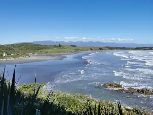 Seal Colony Tauranga Bay