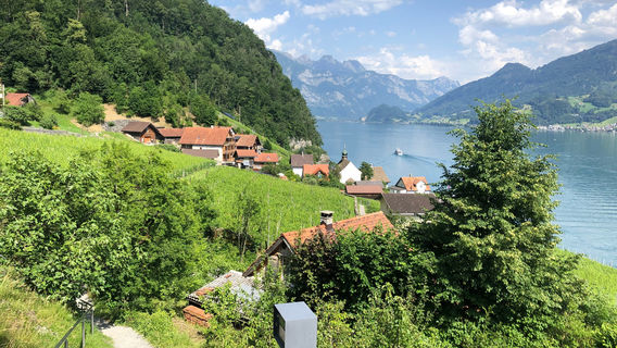 NatUrsache