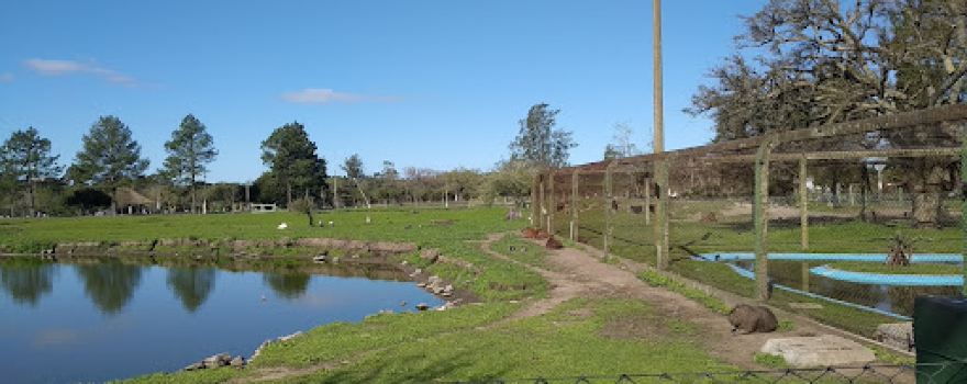 Educativo Ambiental Quinta de Medina Park