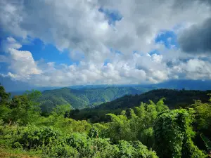 Lan Chom Dao