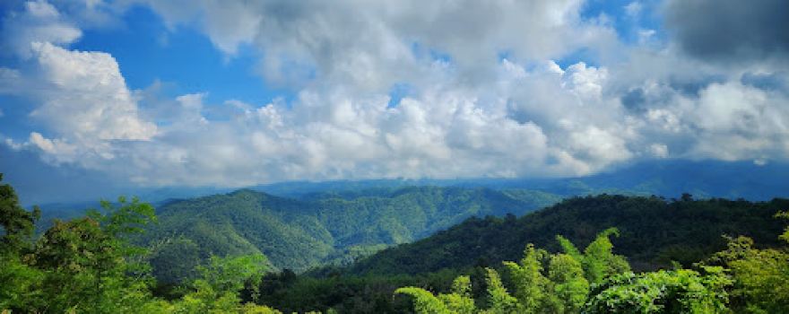 Lan Chom Dao