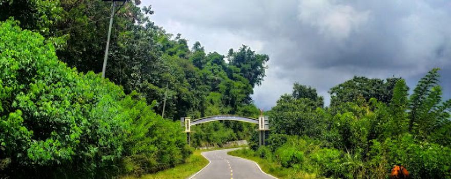 Gapura Perbatasan Kab. Ngada - Kab. Nagekeo