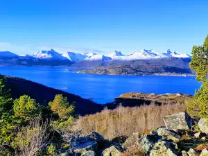 Vestfjord Panorama