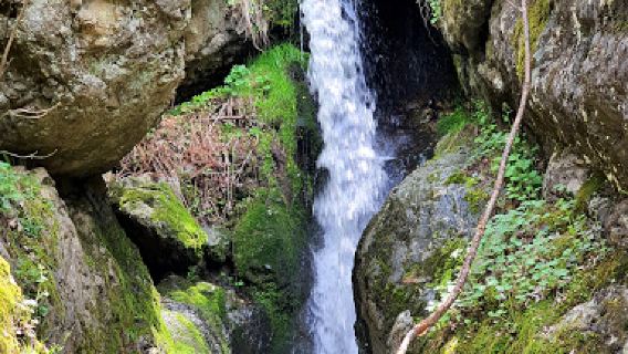 “Bohemia Falls” Ecotrail