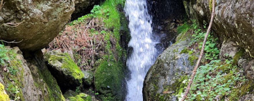 “Bohemia Falls” Ecotrail