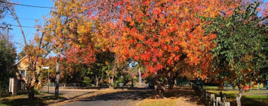 M J Bennett Reserve