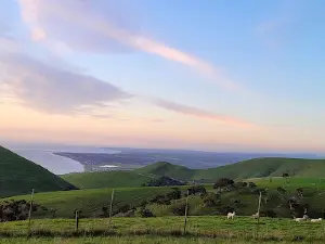Myponga Reservoir Lookout