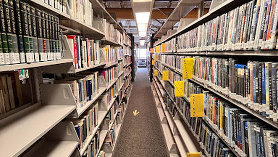 Tuzzy Consortium Library