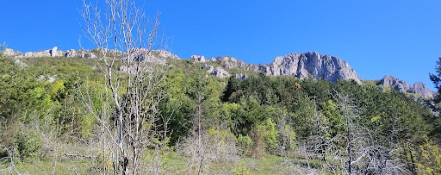 Vlaška planina