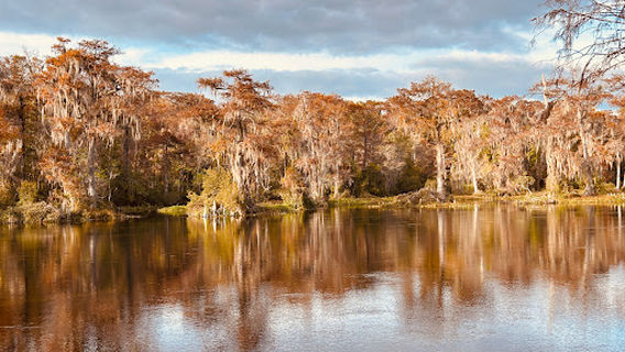 Wakulla River boat tour