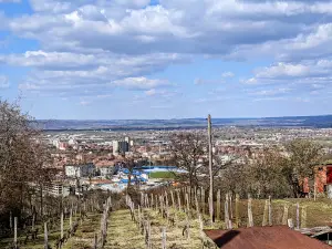 Potok (Đurđevo brdo)