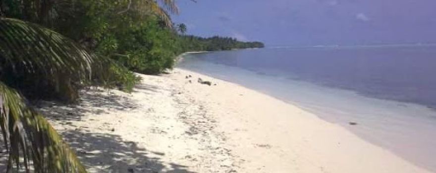 Goidhoo