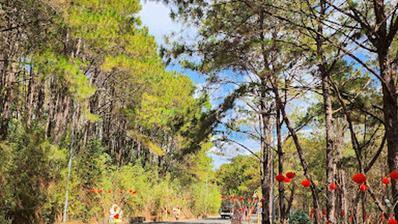 Vườn hoa Biển Hồ