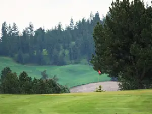 The Plains Golf Course