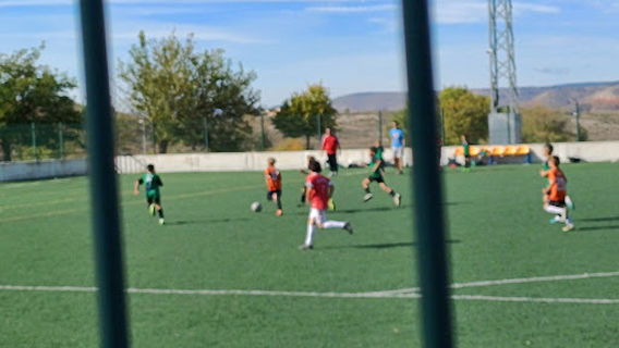 Campo de fútbol