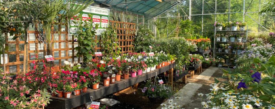 Little Lodge Garden Centre