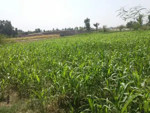 NKB-ITEFAQ VILLAGE