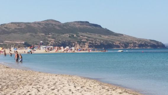Pineta di Plagemesu