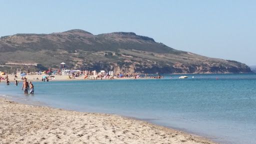 Pineta di Plagemesu