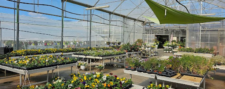 Jardinerie Marrou