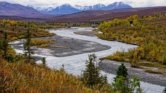 Savage River Campground