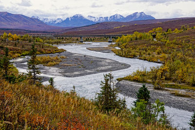 Savage River Campground