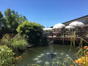 Bow Garden & Aquatic Centre
