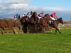 Hawkes Bay Racing Centre