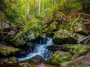 Ysperklamm - wildes Wasser, wilder Wald