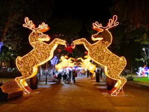 Paseo Bravo