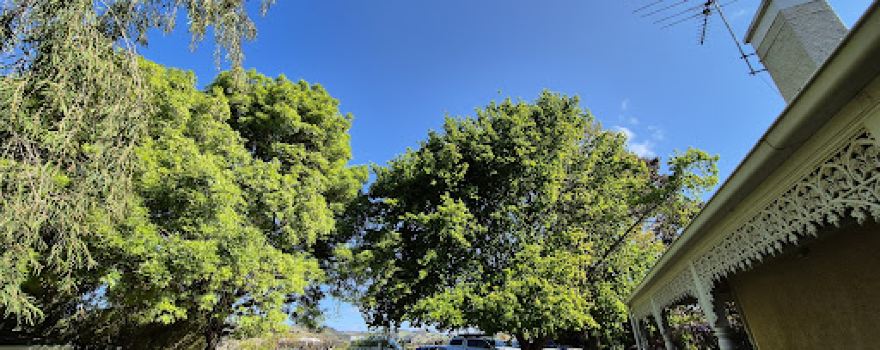 Rusden Wines