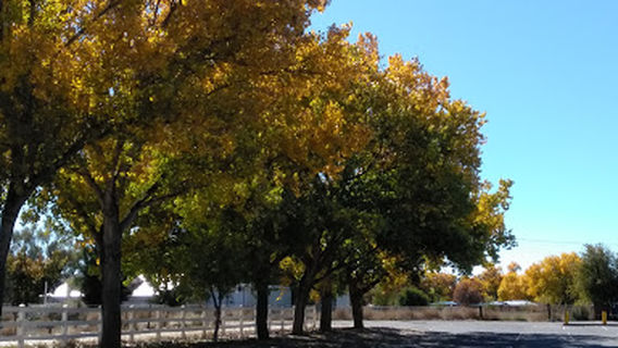 Peralta Methodist Church