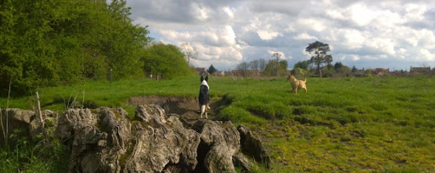 Derwenthorpe Childrens Park