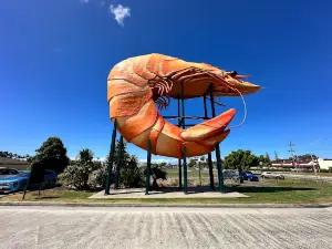 The Big Prawn