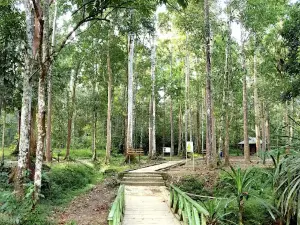 Taman Wisata Alam Sorong