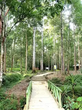 Taman Wisata Alam Sorong