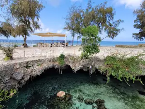 Salaam Cave Aquarium
