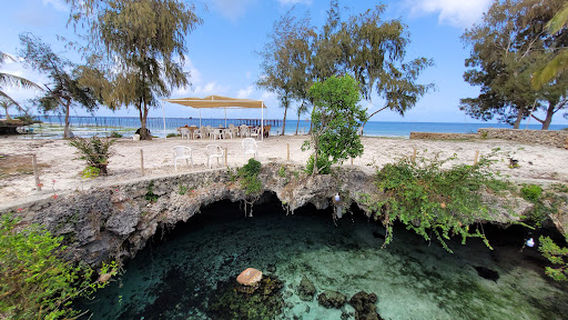 Salaam Cave Aquarium