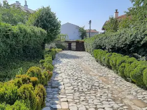 Art Gallery "Nikola Manev"
