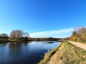 Park pałacowy