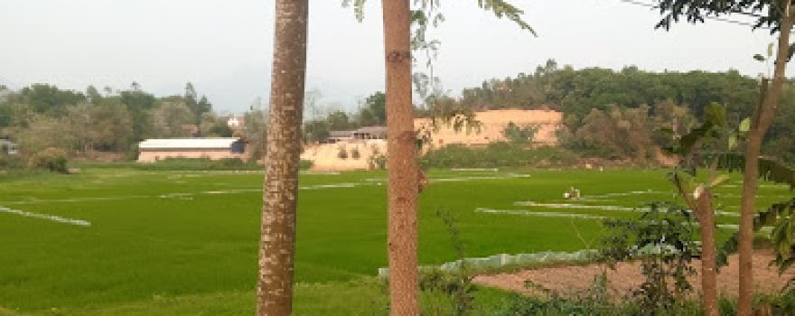 Nhà văn hóa thôn Dương Chỉ