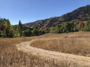 Destination Sports