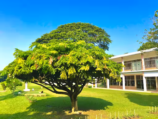 Abu Dhabi to Jessore Flights