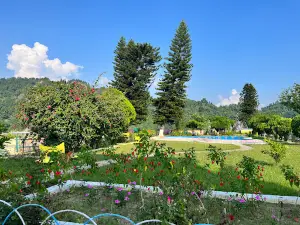 Kalagarh dam