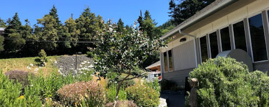 Curry Public Library