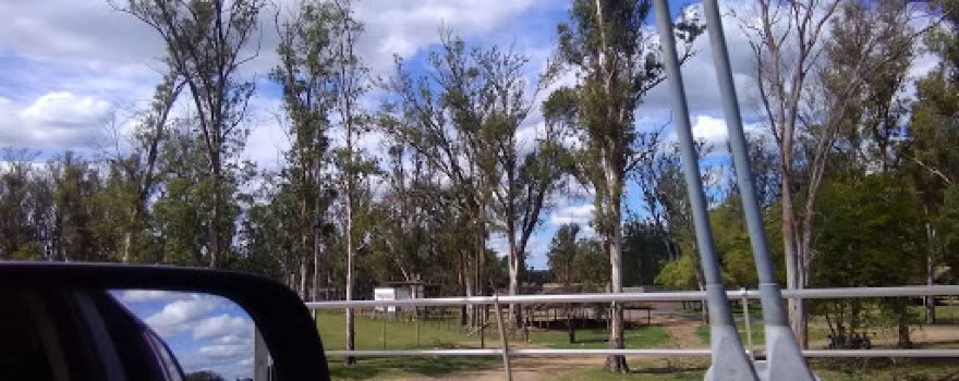 Central stadium club