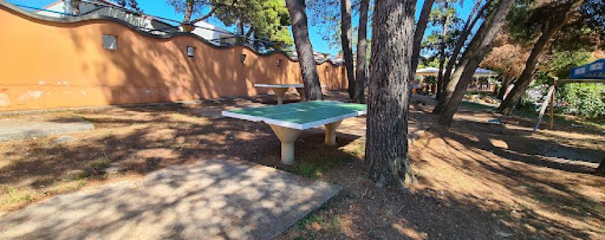 Camp Belvedere