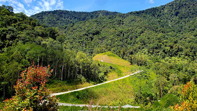 Hobbiton Village @ Flora Park